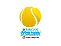 2010 Barclays Dubai Tennis Championships