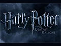 Harry Potter and the Deathly Hallows: Part 2 U.S. Premiere and Red Carpet Event Duplicate