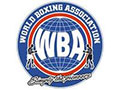 2011 WBA Middleweight Title Fight - Felix Sturm vs Mathew Macklin