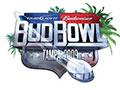 Bud Bowl 2009