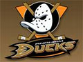 DUCKS TV