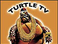 Turtle TV