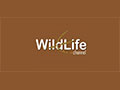 Wild Life Channel