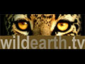 WildEarth