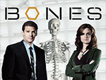 Bones