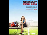 Necessary Roughness