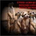 ManuelGatinho